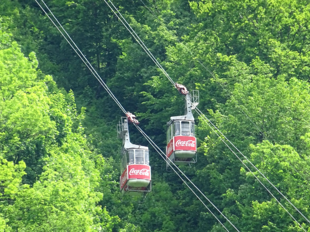 Zwei Seilbahnen fahren einen Berg hinauf, mit Bäumen im Hintergrund, die Seilbahnen zeigen Text auf ihren Seiten.