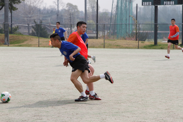Eine Gruppe von Spielern wird beim Fußballspielen auf einem Feld mit Maschendrahtzaun, Bäumen, Leitern und Strommasten auf der anderen Seite gezeigt.