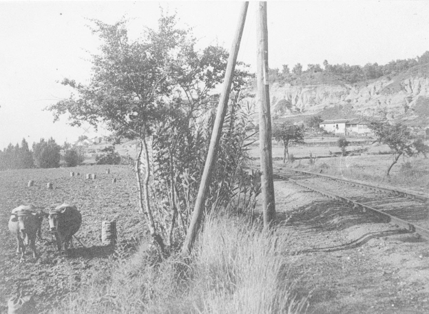 Schwarze und weiße Fotografie von zwei Kühen, die neben einer Bahnschiene mit Gras, Pfählen, Bäumen, Häusern, Hügeln und einem klaren Himmel im Hintergrund stehen.