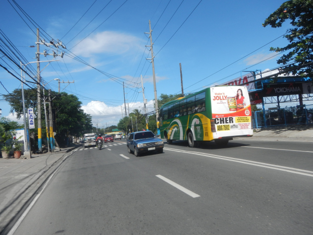 Ein grüner Bus fährt auf einer Straße mit Strommasten, Drähten, Bäumen, Pflanzen, Brettern und einem Schuppen, unter einem bewölkten Himmel.