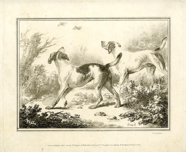 Zwei Hunde laufen durch einen bewaldeten Bereich mit Bäumen und Pflanzen, mit Text am unteren Bildrand.