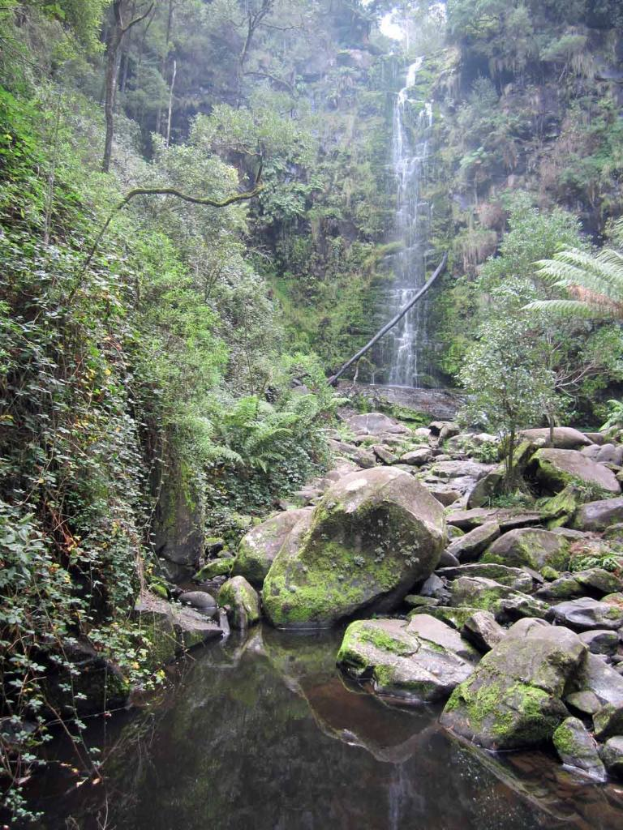 Ein Wasserfall fließt in einen See, mit Bäumen und Pflanzen auf einem Hügel links und Felsen und Bäumen rechts.