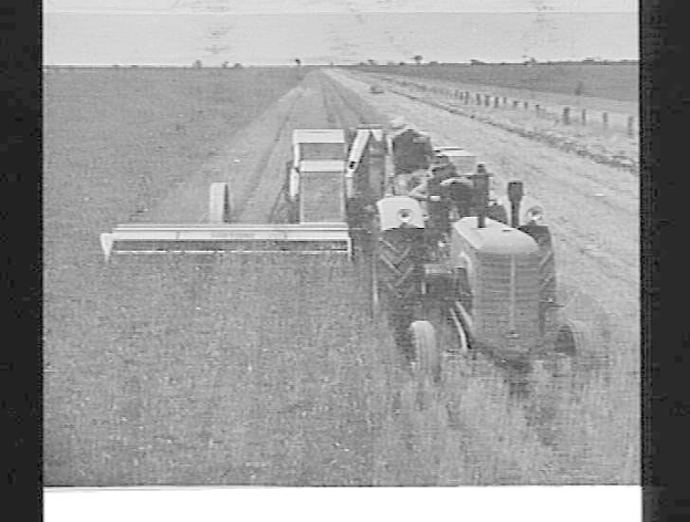 Ein Schwarz-Weiß-Foto eines Traktors, der auf einer Schotterstraße mit ein paar Menschen darin fährt, ein Zaun auf der rechten Seite und Bäume mit einem klaren Himmel im Hintergrund.