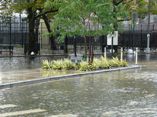 Eine überflutete Straße mit Pflanzen, Bäumen und einem Brett in der Mitte, umgeben von Wasser, mit einem Zaun, einem Gebäude und anderen Pflanzen im Hintergrund.