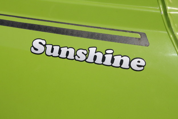 Ein Fahrzeug in grüner Farbe.