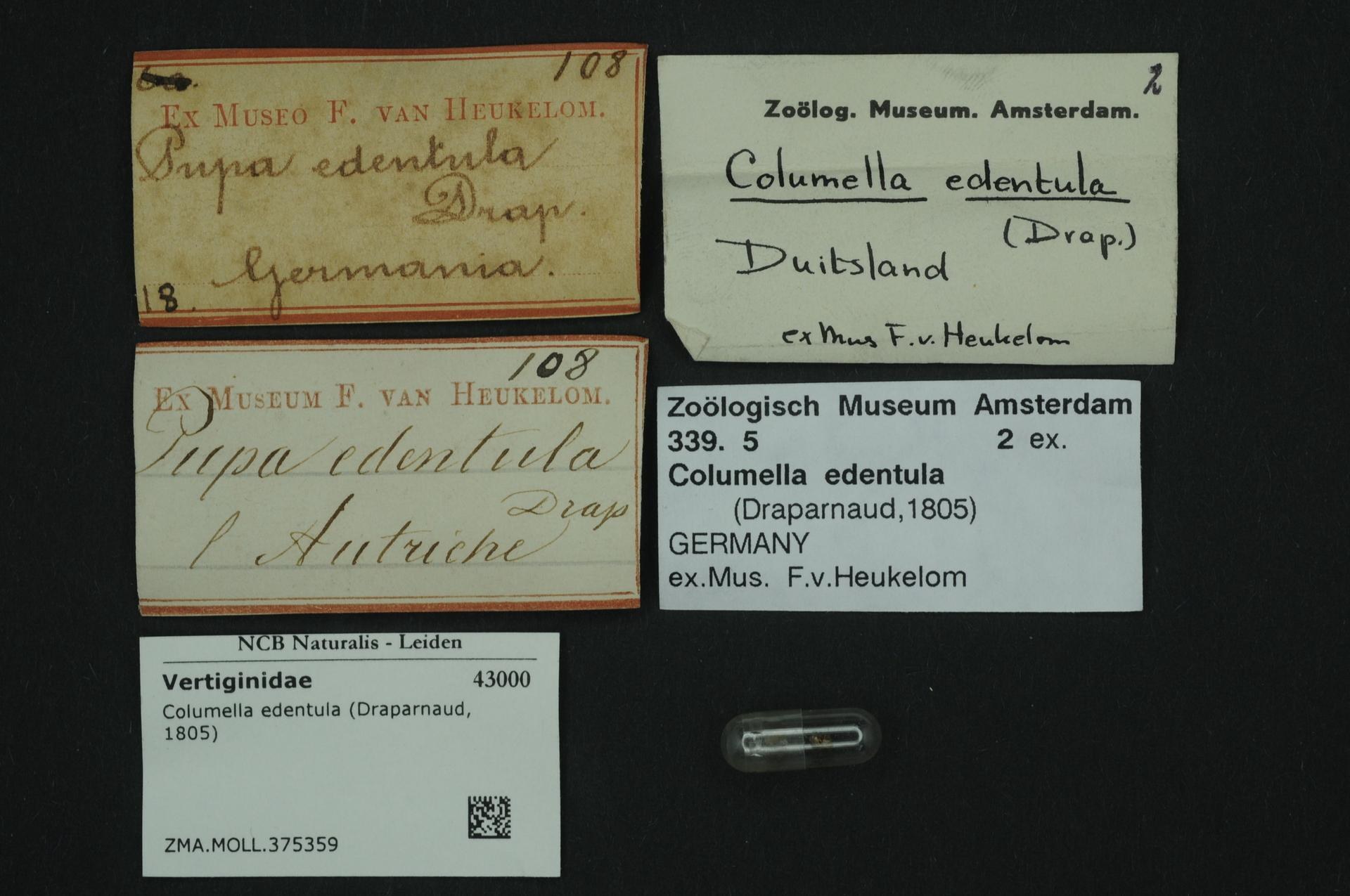 Eine Sammlung alter Visitenkarten mit Text in Bezug auf Columella edentula, ein Medikament, und ein kleines Stück Papier mit einem Barcode.
