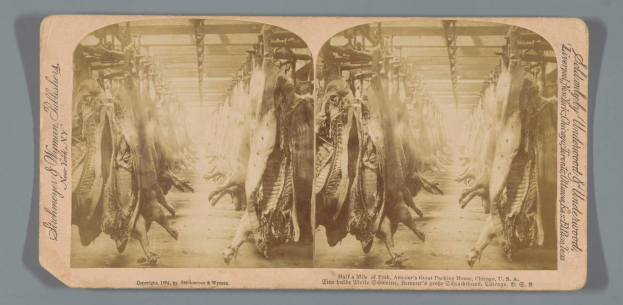 Ein Schwarz-Weiß-Foto einer Gruppe von Tieren, die von der Decke eines Schlachthofs hängen, mit Text auf einem Papier vor ihnen.