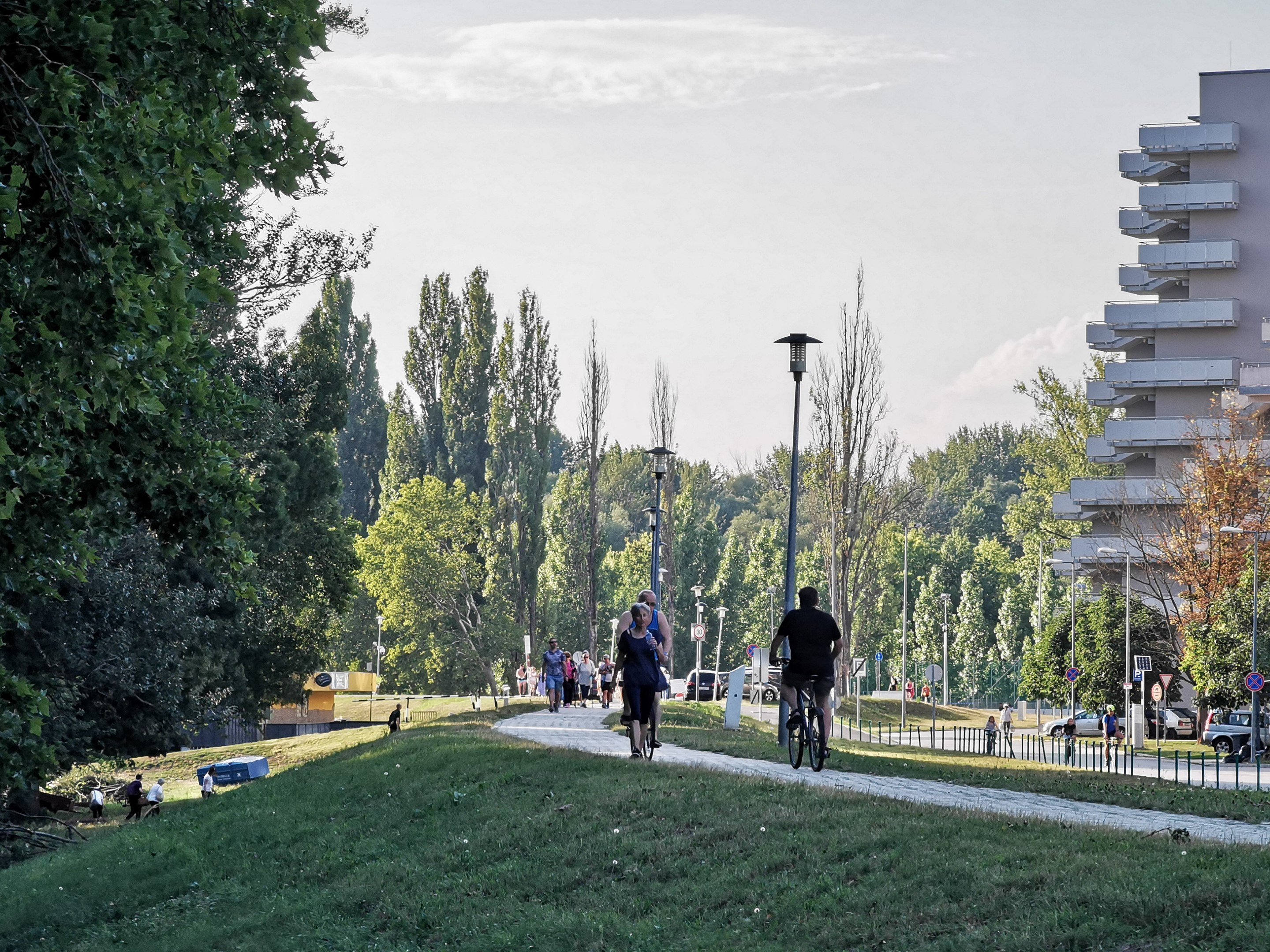 Gruppe von Menschen, die auf Fahrrädern eine Parkweg entlangfahren mit Bäumen, Straßenpfosten, Straßenlaternen, Schildtafeln, Kraftfahrzeugen, Absperrpoller, Gebäuden und bewölktem Himmel im Hintergrund.