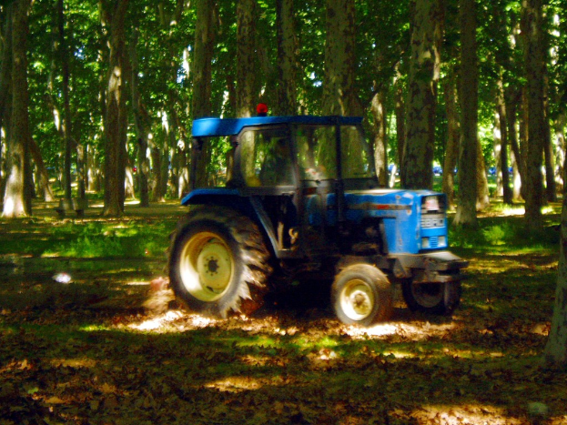 Ein Traktor steht auf einem grasbewachsenen Feld mit ein paar Bäumen im Hintergrund.