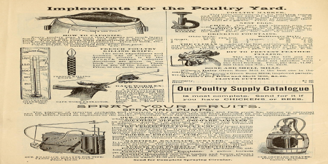 Eine alte Werbung für einen Geflügelhof, die Text und bunte Bilder verschiedener Geflügelprodukte zeigt, mit Details zu Zutaten, Preisen und Anwendungsanweisungen in fetter Schrift.