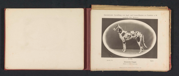 Ein aufgeschlagenes Buch mit dem Titel "Internationale Ausstellung von Jagd- und Luxushunden nach Frankfurt a.M." mit einem Schwarz-Weiß-Foto eines Hundes und begleitendem Text.