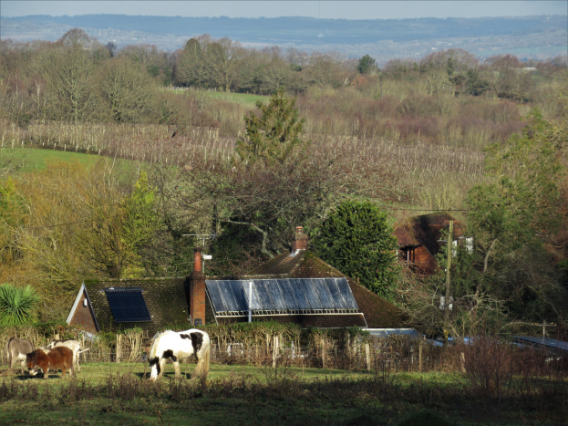 Ein Bauernhof mit Solarpaneelen auf dem Dach, umgeben von grünem Gras, Pflanzen und Bäumen, mit ein paar grasenden Tieren im Vordergrund und einem klaren blauen Himmel im Hintergrund.