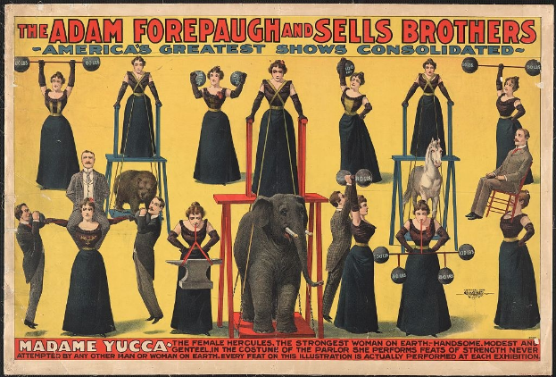 Plakat für Adam Forepaugh und Sells Brothers' America's Greatest Shows Consolidated mit Performern auf Hockern und einem zentralen Elefanten.