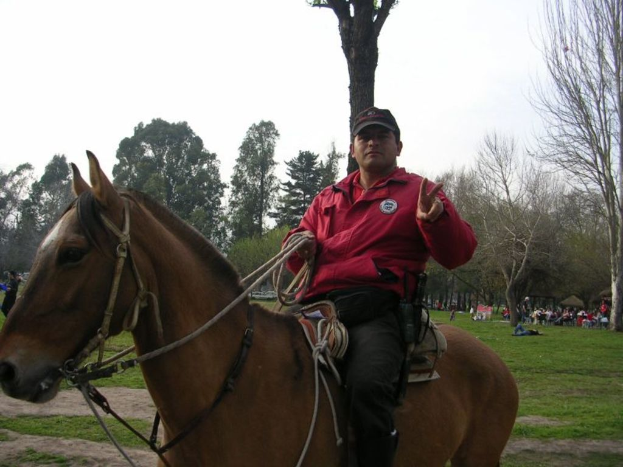 Eine Person, die ein Pferd reitet, mit Bäumen, Gras und ein paar anderen Leuten im Hintergrund.