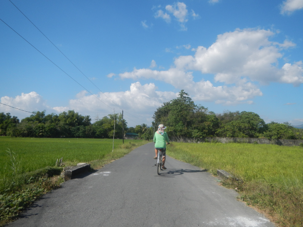 Eine Radfahrerin mit Helm fährt auf einer Straße, die von grünem Gras und Pflanzen gesäumt ist, mit Bäumen, Masten, Drähten, einer Wand und einem bewölkten Himmel im Hintergrund.