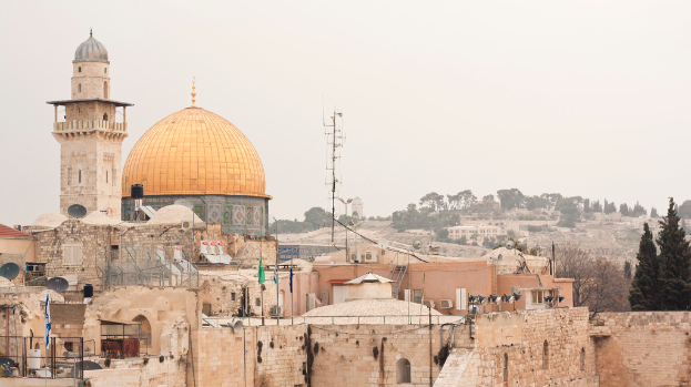 Mehrere Ziegelgebäude mit Satellitenschüsseln und Klimaanlagen vor einem Hintergrund aus Bäumen und Himmel.