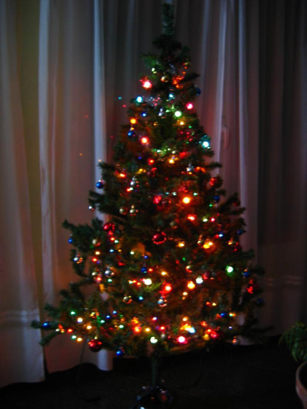 Ein mit Lichtern geschmückter Weihnachtsbaum mit einem Vorhang und einer Topfpflanze im Hintergrund.