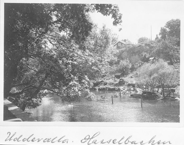 Schwarzes und weißes Foto von Menschen, die in einem Fluss schwimmen, umgeben von Bäumen und Häusern, mit dem Text "Woldervalla, Hasselbecken, New York" unten.