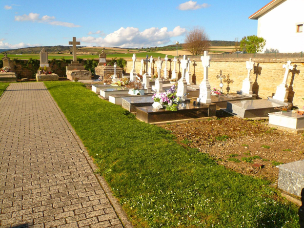 Ein Friedhof mit zahlreichen Grabsteinen, verstreuten Blumen, einem Weg, einer Wand, Bäumen, einem Haus und einer bewölkten Himmel im Hintergrund.