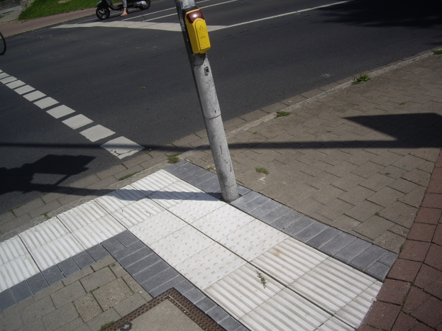Eine Person auf einem Roller auf einer Straße neben einem Gehweg, mit einem Pfahl auf der Straße, einem Fahrrad auf dem Gehweg und Gebäuden, Bäumen und Gras im Hintergrund.