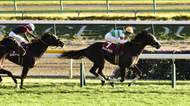 Zwei Jockeys in Helmen lenken Pferde auf einer von Grün umgebenen Bahn, mit einem Geländer und einer Tafel im Hintergrund.