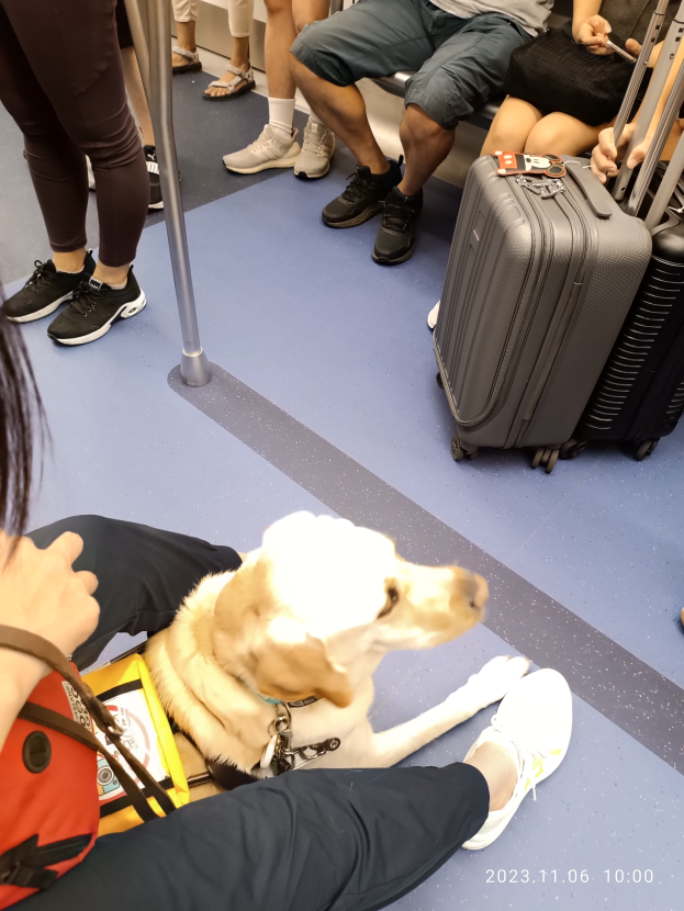 Eine Frau sitzt im Zug mit ihrem Hund, umgeben von sitzenden und stehenden Passagieren und verstreuten Gepäckwagen.