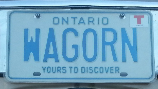 Ein weißes Kennzeichen mit schwarzer Schrift, die 'Wagorn' lautet, auf einem Auto.