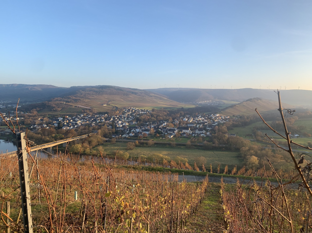 Eine malerische Aussicht auf das Rheintal von einem Hügel aus, mit grünen Blättern, Häusern und einer Brücke über den Fluss vor einem blauen Himmel mit Hügeln im Hintergrund.