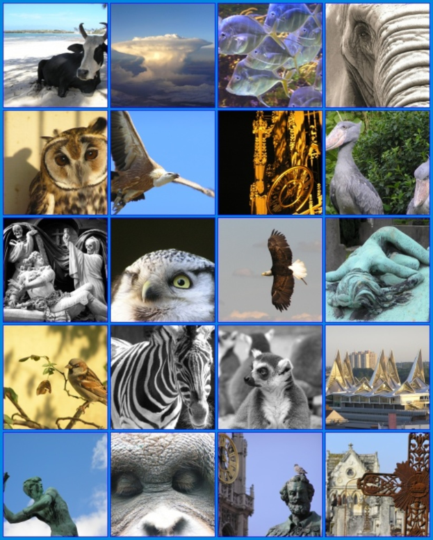 Ein Collage-Bild mit verschiedenen Tieren wie einer Kuh, einem Zebra und einer Eule sowie mehreren Skulpturen.