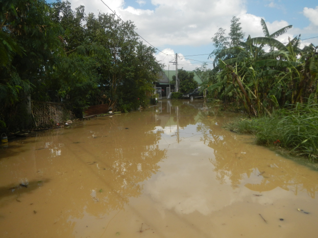 Eine überflutete Landstraße mit Wasser, das die Straße bedeckt, umgeben von Pflanzen und Bäumen auf beiden Seiten, ein geparktes Auto auf der rechten Seite und Häuser, Pfähle und Drähte im Hintergrund unter einem bewölkten Himmel.